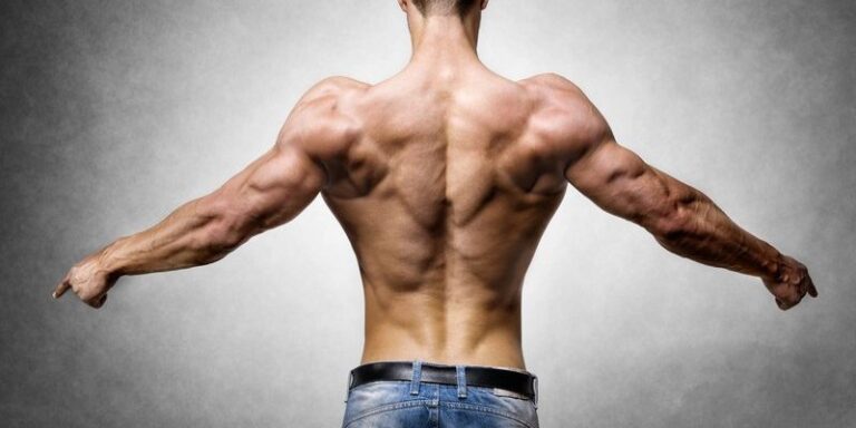 crazy bulk reviews bodybuilding