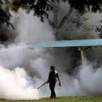 pest control in Lumberton