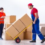 The Importance of Professional Moving Companies for Large and Complex Moves