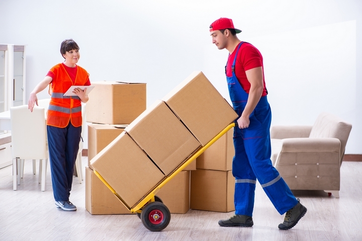 The Importance of Professional Moving Companies for Large and Complex Moves