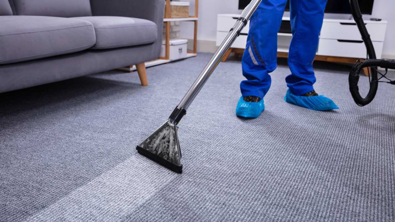 brisbane carpet cleaning